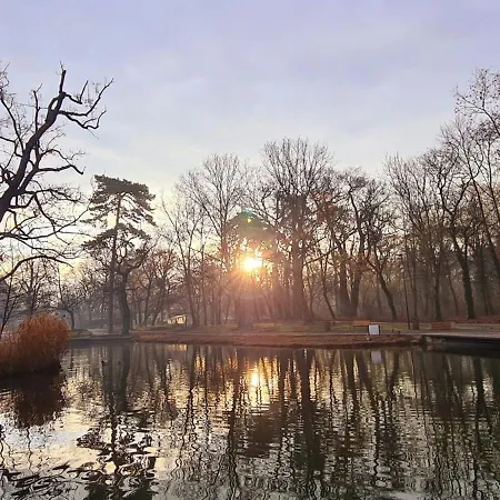 Great Forest Chill Three * 德布勒森