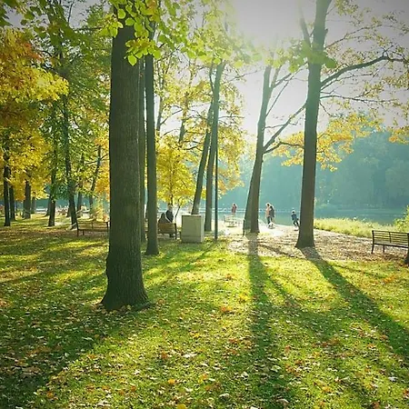 Great Forest Chill Three