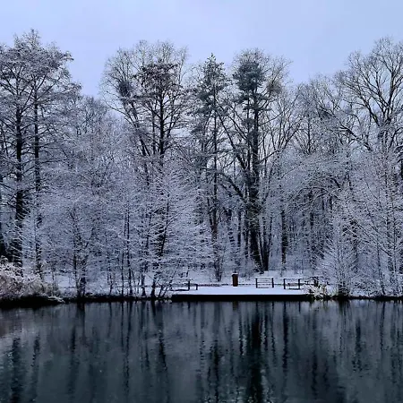 Great Forest Chill Three 公寓