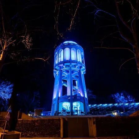 Great Forest Chill Three Debreczyn