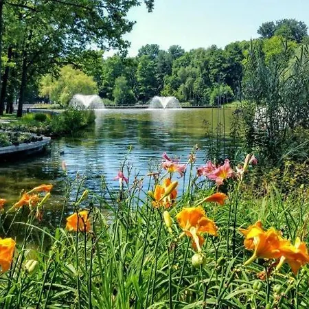 Great Forest Chill Three Apartament *