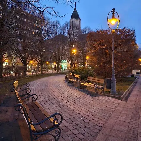 Great Forest Chill Three *