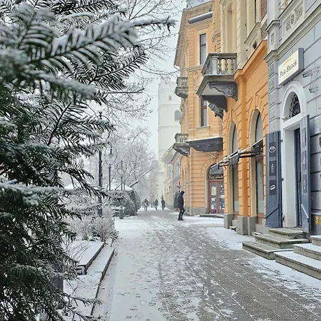 Great Forest Chill Three