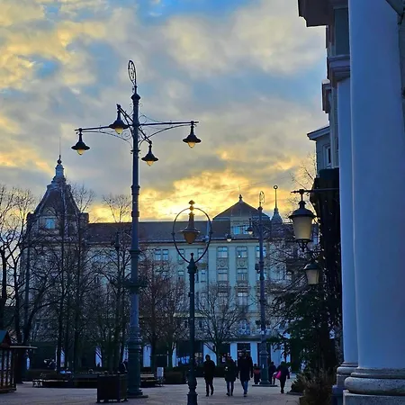 Great Forest Chill Three