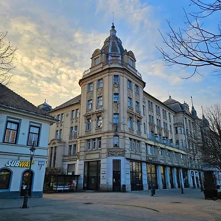 Great Forest Chill Three *