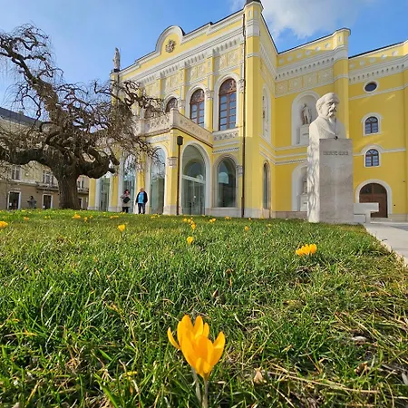 Great Forest Chill Three 德布勒森