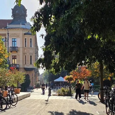 Great Forest Chill Three * Debrecen