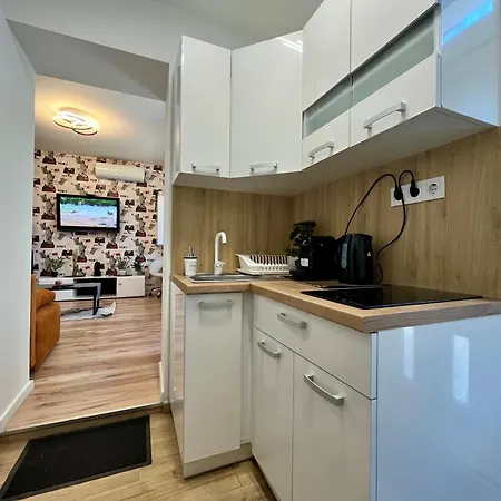 Great Forest Chill Three * 德布勒森