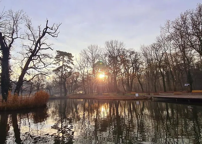 Great Forest Chill Three * Ντέμπρετσεν