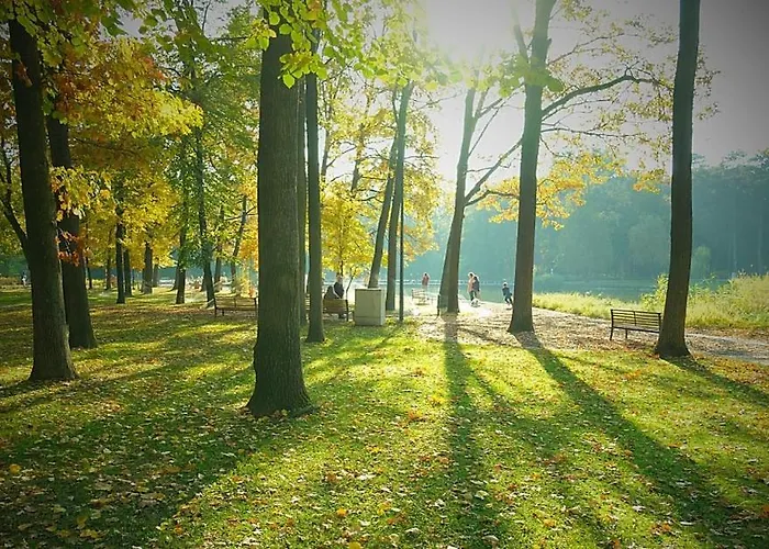 Great Forest Chill Three