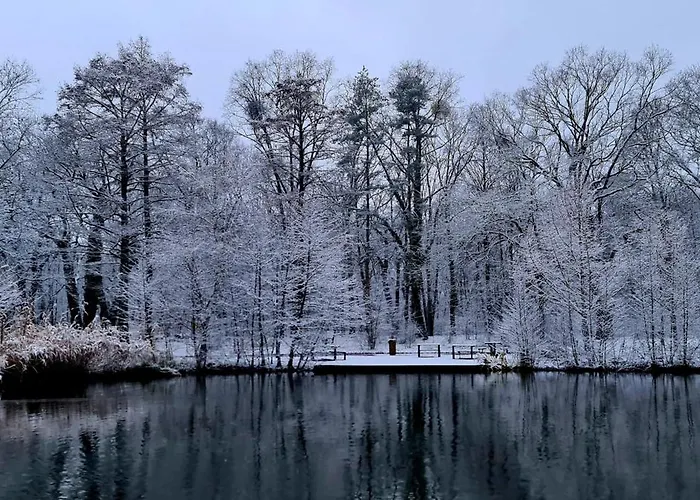 Great Forest Chill Three Appartamento